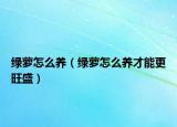 绿萝怎么养（绿萝怎么养才能更旺盛）