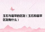 玉石与翡翠的区别（玉石和翡翠区别有什么）
