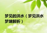 梦见的洪水（梦见洪水梦境解析）