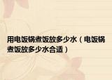 用电饭锅煮饭放多少水（电饭锅煮饭放多少水合适）