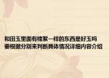 和田玉里面有棉絮一样的东西是好玉吗 要根据分别来判断具体情况详细内容介绍