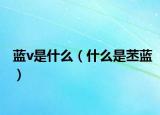 蓝v是什么（什么是苤蓝）