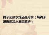 鸽子汤热水炖还是冷水（炖鸽子汤选用冷水原因解析）