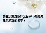男生玩游戏取什么名字（有关男生玩游戏的名字）
