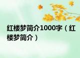 红楼梦简介1000字（红楼梦简介）