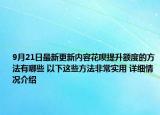 9月21日最新更新内容花呗提升额度的方法有哪些 以下这些方法非常实用 详细情况介绍