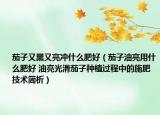 茄子又黑又亮冲什么肥好（茄子油亮用什么肥好 油亮光滑茄子种植过程中的施肥技术简析）
