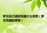 梦见自己遇到雪崩什么意思（梦见雪崩的寓意）