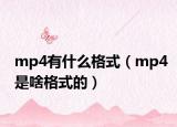 mp4有什么格式（mp4是啥格式的）
