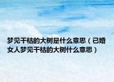 梦见干枯的大树是什么意思（已婚女人梦见干枯的大树什么意思）