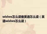wishes怎么读音英语怎么读（英语wishes怎么读）