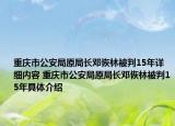 重庆市公安局原局长邓恢林被判15年详细内容 重庆市公安局原局长邓恢林被判15年具体介绍