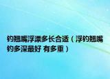 钓翘嘴浮漂多长合适（浮钓翘嘴钓多深最好 有多重）
