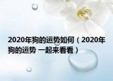 2020年狗的运势如何（2020年狗的运势 一起来看看）