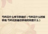 芍药花什么季节移栽好（芍药花什么时候移栽 芍药花的最佳移栽时间是什么）