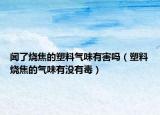 闻了烧焦的塑料气味有害吗（塑料烧焦的气味有没有毒）