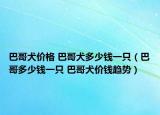 巴哥犬价格 巴哥犬多少钱一只（巴哥多少钱一只 巴哥犬价钱趋势）