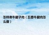 怎样煮牛腱子肉（五香牛腱肉怎么做）
