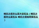 明日之后怎么买大量石头（明日之后怎么买石头 明日之后如何买石头）