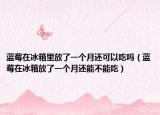 蓝莓在冰箱里放了一个月还可以吃吗（蓝莓在冰箱放了一个月还能不能吃）