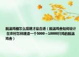 脱温鸡棚怎么搭建才最合适（脱温鸡舍如何设计 在农村怎样建造一个5000～10000只鸡的脱温鸡舍）