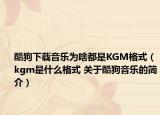 酷狗下载音乐为啥都是KGM格式（kgm是什么格式 关于酷狗音乐的简介）