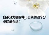 白茶分为哪四种（白茶的四个分类简单介绍）