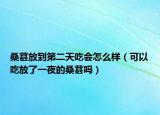 桑葚放到第二天吃会怎么样（可以吃放了一夜的桑葚吗）