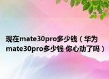 现在mate30pro多少钱（华为mate30pro多少钱 你心动了吗）