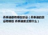 养泰迪都有哪些禁忌（养泰迪的禁忌有哪些 养泰迪要注意什么）