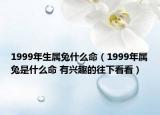 1999年生属兔什么命（1999年属兔是什么命 有兴趣的往下看看）
