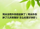 耳朵没有外伤但是肿了（耳朵外伤肿了几天恢复好 怎么处理才快好）