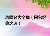 选网名大全集（网名经典之选）