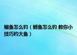 鱲鱼怎么钓（鳡鱼怎么钓 教你小技巧钓大鱼）