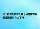 这个销售队伍怎么管（如何管理监督销售团队 你会了吗）