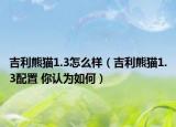 吉利熊猫1.3怎么样（吉利熊猫1.3配置 你认为如何）