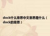 dock什么意思中文意思是什么（dock的意思）