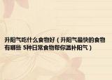 升阳气吃什么食物好（升阳气最快的食物有哪些 5种日常食物帮你温补阳气）
