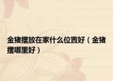 金猪摆放在家什么位置好（金猪摆哪里好）