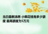 当日最新消息 小鹅花钱有多少额度 最高额度为5万元