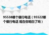 95538哪个银行电话（95522哪个银行电话 现在你明白了吗）