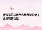 金银花的功效与作用及禁忌症（金银花的功效）