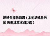 塘鳢鱼能养殖吗（本地塘鲺鱼养殖 需要注意这四方面）