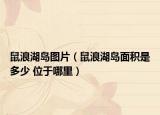 鼠浪湖岛图片（鼠浪湖岛面积是多少 位于哪里）