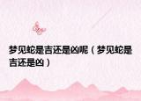 梦见蛇是吉还是凶呢（梦见蛇是吉还是凶）