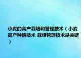 小麦的高产栽培和管理技术（小麦高产种植技术 栽培管理技术是关键）