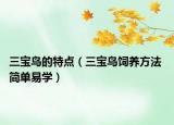 三宝鸟的特点（三宝鸟饲养方法 简单易学）