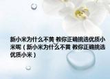新小米为什么不黄 教你正确挑选优质小米呢（新小米为什么不黄 教你正确挑选优质小米）