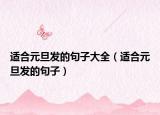 适合元旦发的句子大全（适合元旦发的句子）