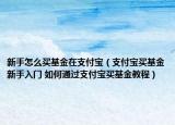 新手怎么买基金在支付宝（支付宝买基金新手入门 如何通过支付宝买基金教程）